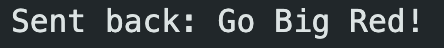 ECHO serial monitor output