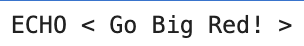 ECHO notebook output